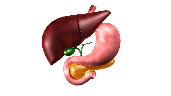 固元膏的食用方法    哪些不宜食用固元膏